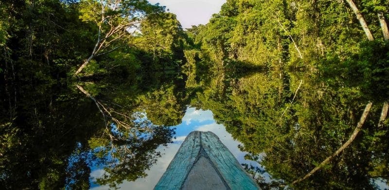 Amazon River