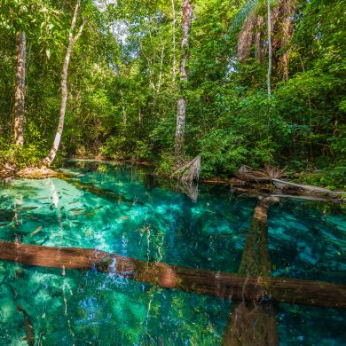 Bonito Brasilienreisen Globotur
