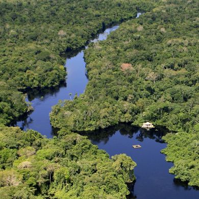 Cristalino Lodge Amazonas GloboTur