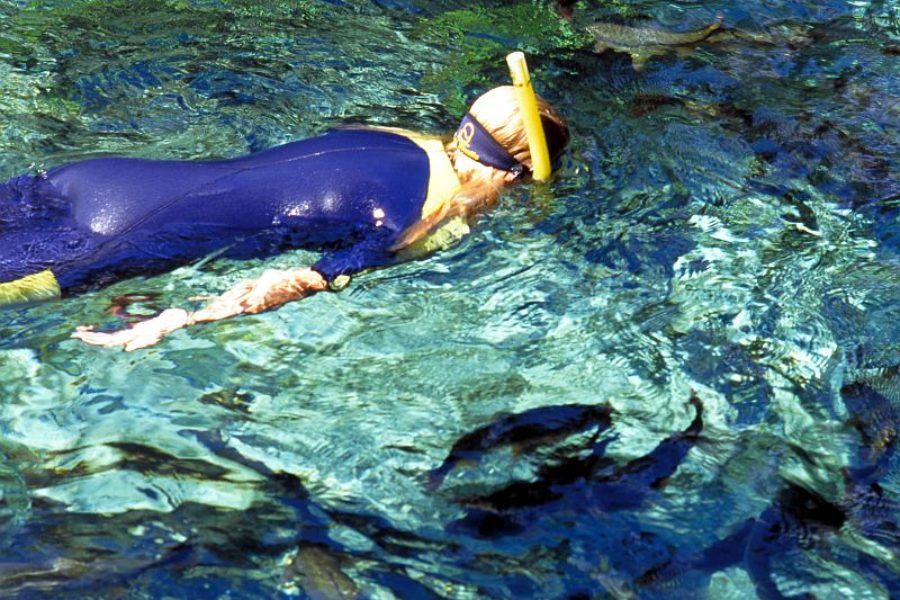 Bonito-Nobres-Fluesse-Schnorcheln-Embratur-GloboTur