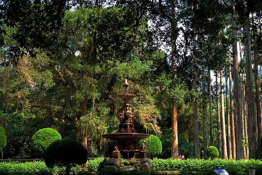 Botanischer-Garten-Rio-de-Janeiro-Embratur-GloboTur