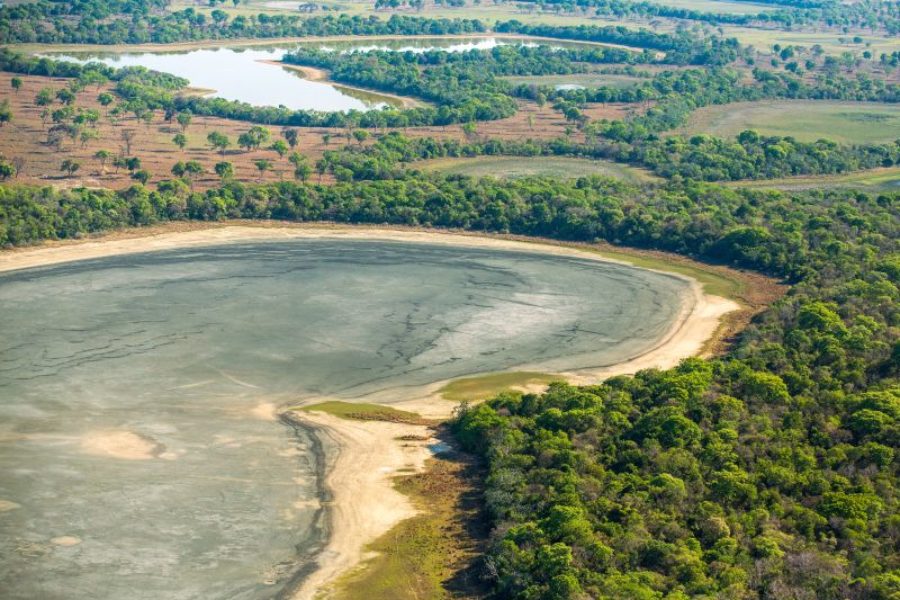 Brasilien Feuchtgebiet Pantanal GloboTur