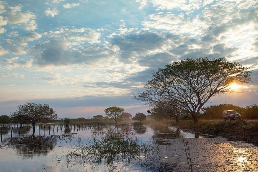 Brasilien Naturlandschaft Pantanal Visitms GloboTur