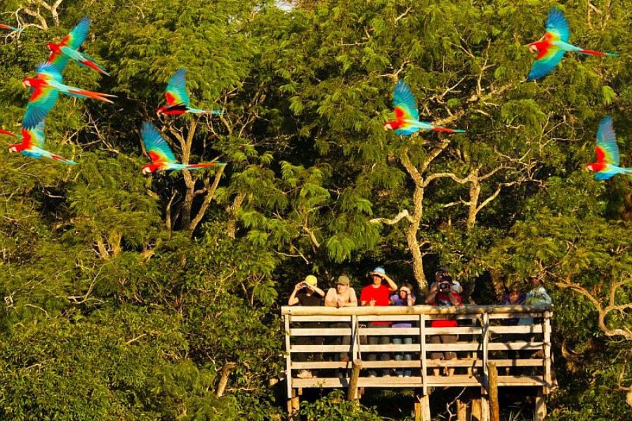 Buraco das Araras Bonito GloboTur VisitMS Fundtur