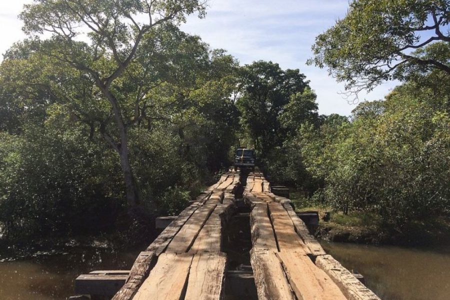 Estrada Parque Pantanal Brasilien GloboTur VisitMS Fundtur