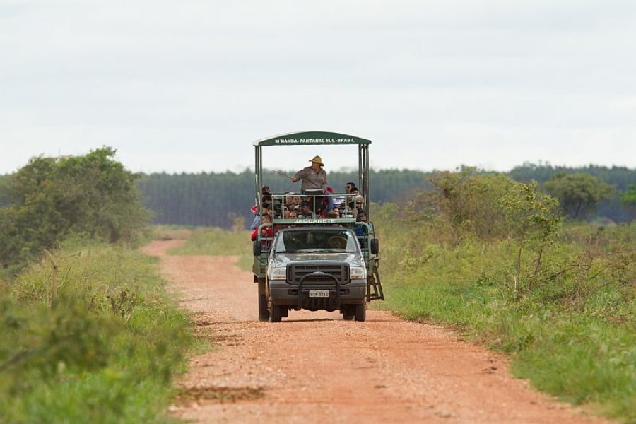 Natur Pantanal Safari GloboTur