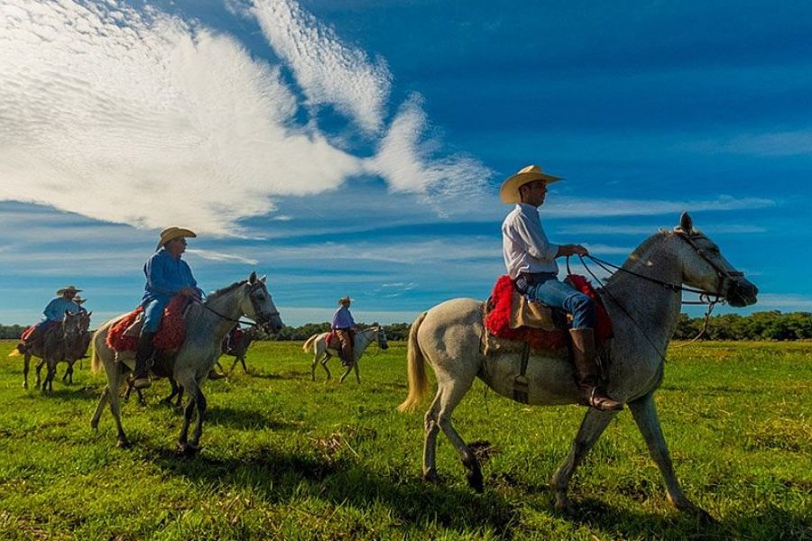 Pantanal Brasilien Reitertour Visitms GloboTur
