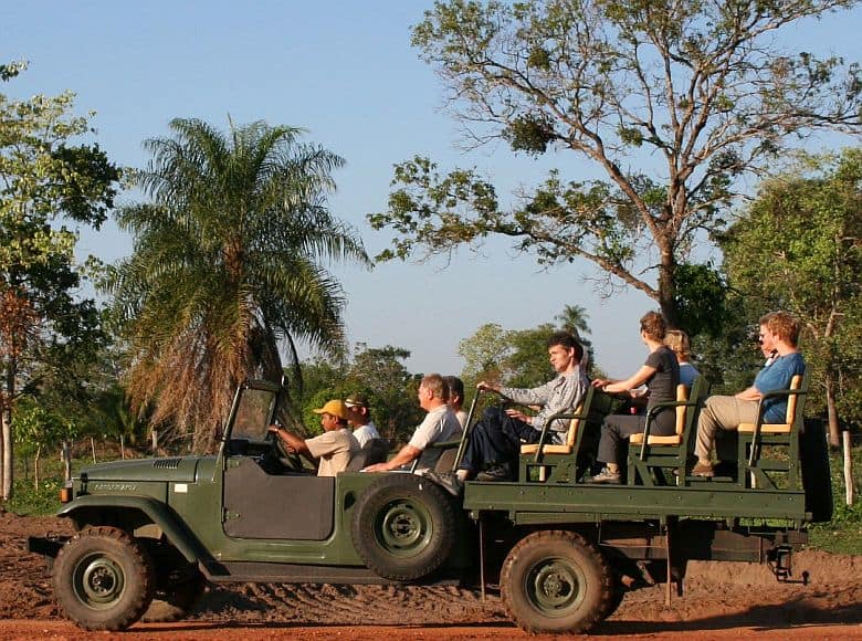 Pantanal Safari Tierbeobachtung Ecolodge Aguapé GloboTur