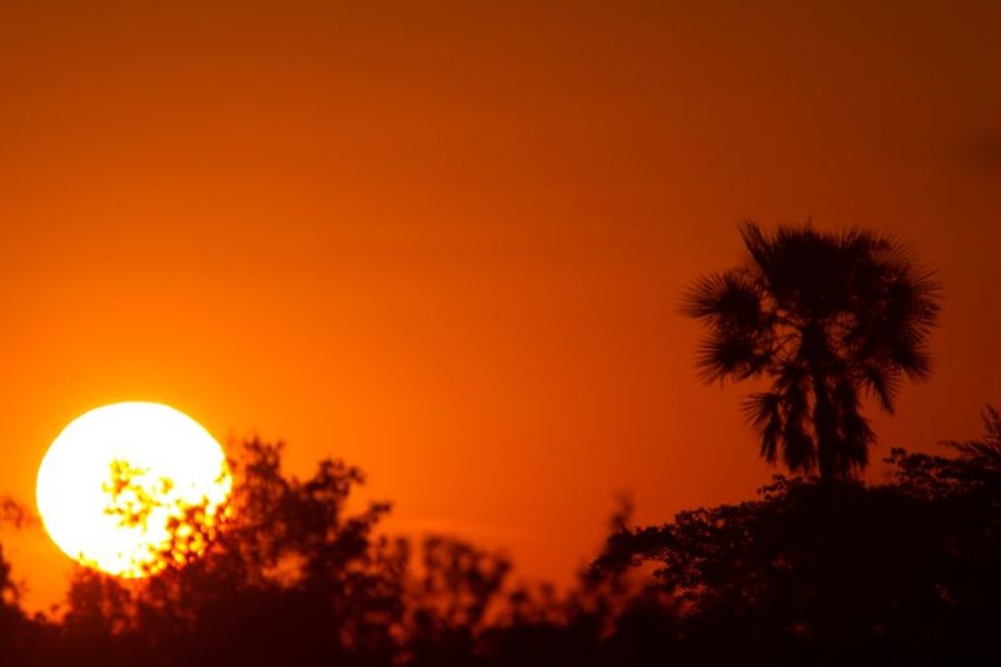 Pantanal Sonnenuntergang in der Wildnis GloboTur
