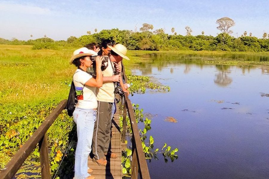 Pantanal Tiersafari In Brasilien Visitms GloboTur