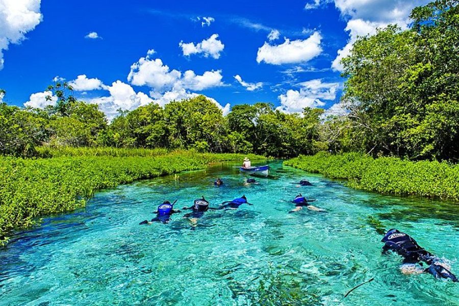 Schnorcheln In Bonito Brasilien Visitms GloboTur