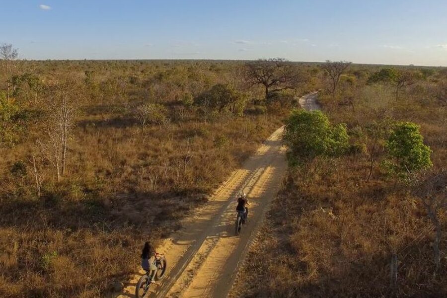 Brasilien-Trockensavanne-Pousada-Trijuncao-Wildtiere-GloboTur