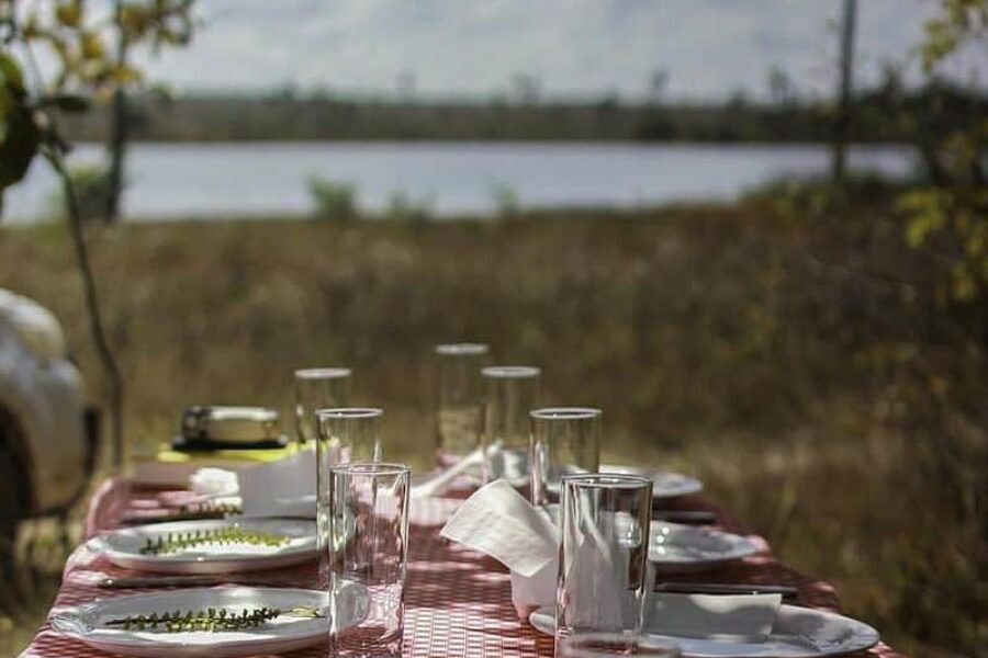 Pousada-Trijuncao-Naturerlebnis-Wildnis-Safari-Brasilien-GloboTur